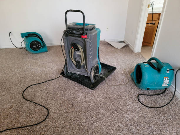 Best Fire Damage Restoration  in Pine Hills, FL