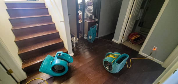 Best Water damage restoration specialists  in Pine Hills, FL