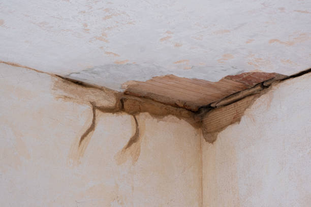 Best 24/7 water damage repair  in Pine Hills, FL
