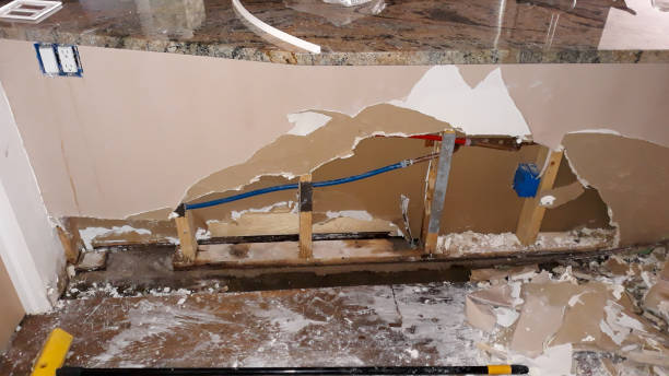 Best Commercial water damage restoration  in Pine Hills, FL