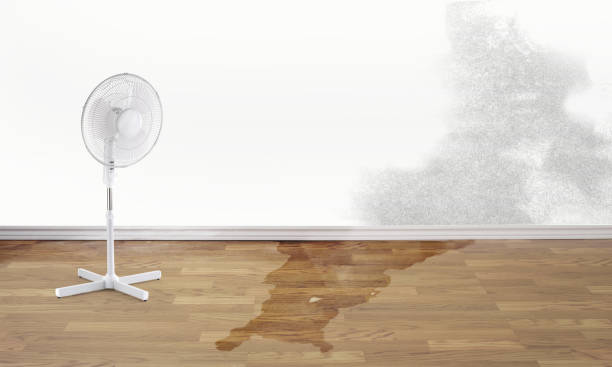 24/7 water damage repair in Pine Hills, FL