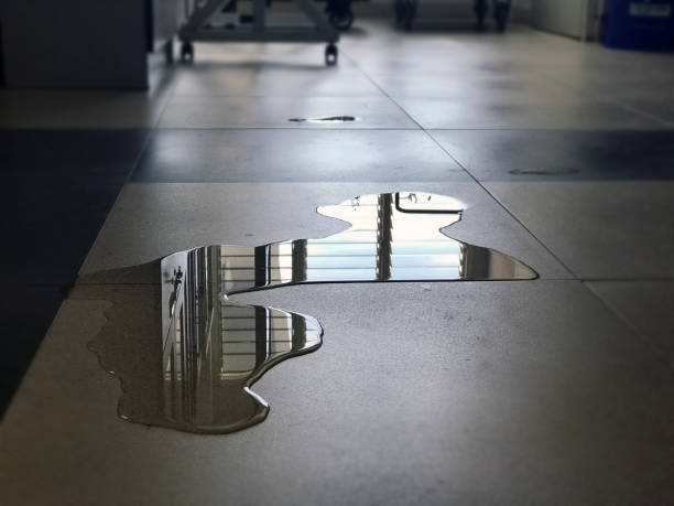 Best Water damage restoration cost  in Pine Hills, FL