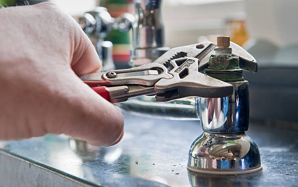 Best Basement water damage restoration  in Pine Hills, FL