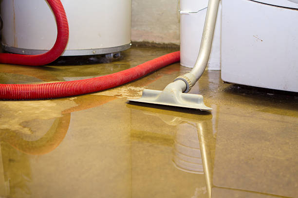 Best 24/7 water damage repair  in Pine Hills, FL