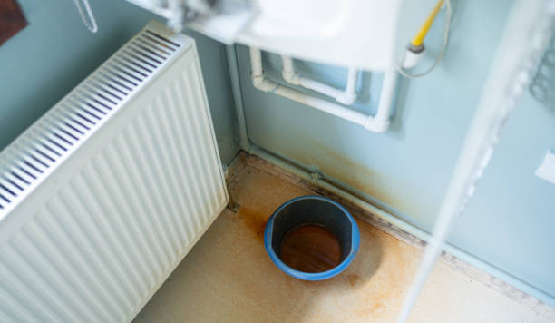 Best Residential water damage restoration  in Pine Hills, FL