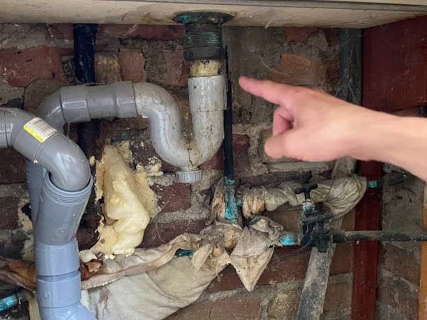 Best Local water damage restoration  in Pine Hills, FL