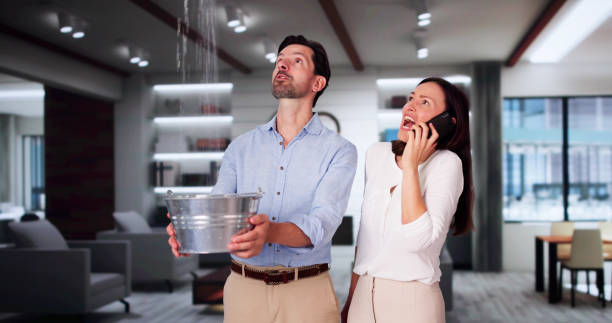 Reliable Pine Hills, FL Water damage restoration Solutions