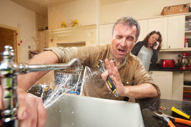 Best Water damage contractors near me  in Pine Hills, FL